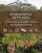 Bioeconomia da floresta: a conjuntura da produção florestal não madeireira no Brasil